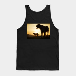 Italian Spinone Silhouettes Tank Top